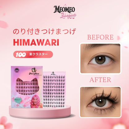 Himawari ( ひまわり )