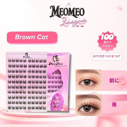 Brown Cat ( 茶色の猫 )