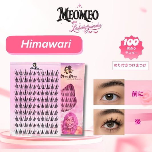 Himawari ( ひまわり )